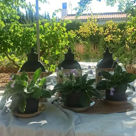 Villa Castellanos Tomelloso